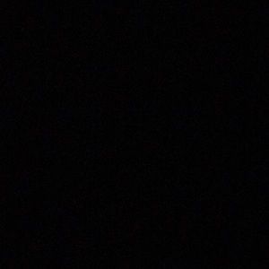 Meet your Posher, Lexy